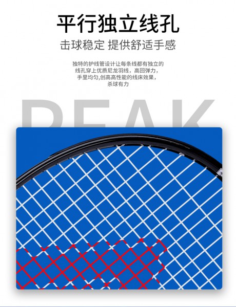 匹克PEAK网球拍成人男女学生初学者单拍网球带绳回弹训练器套装 黑色
