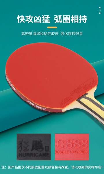 红双喜DHS狂飚四星级乒乓球拍升级版横拍H4002双面反胶附乒乓球