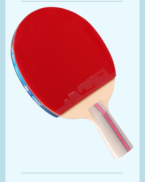 红双喜（DHS）三星乒乓球拍 直拍H3006单拍附拍套+乒乓球