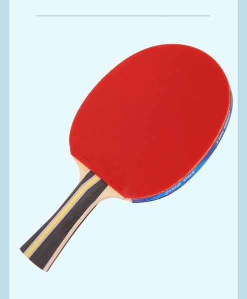 红双喜（DHS）三星乒乓球拍 直拍H3006单拍附拍套+乒乓球