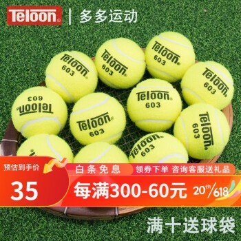 天龙（Teloon）训练网球成人训练球603复活Rising高弹耐打无压网球袋装散装 天龙603进阶练球6个散装