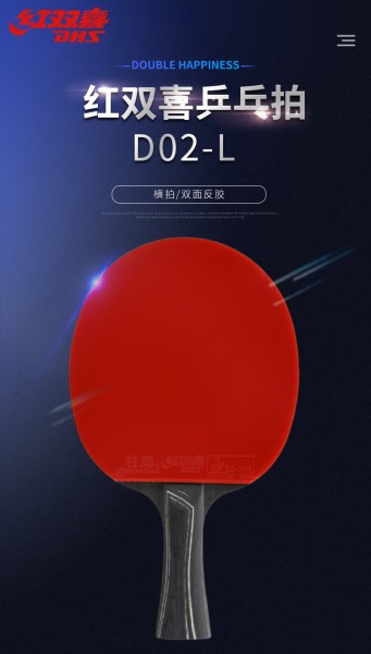红双喜DHS狂飚专业星钻乒乓球拍全能型横拍狂飙D02-L黑耀内附拍套乒乓球