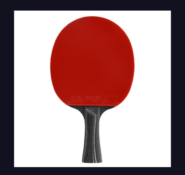 红双喜DHS狂飚专业星钻乒乓球拍全能型横拍狂飙D02-L黑耀内附拍套乒乓球