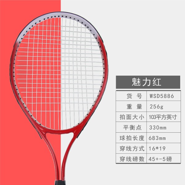 英辉（INVUI）网球拍初学者训练拍网球回弹训练器带线网球，手胶，拍包，黑色