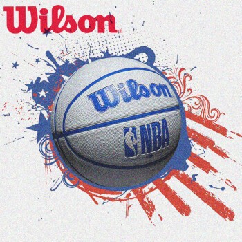 威尔胜（Wilson）篮球 NBA DRV GREY系列 新款橡胶球 青少年室内外专业比赛训练球 9302+打气装备