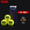 天龙（Teloon） 天龙网球比赛训练球PRO+POUND-3 高弹耐打ITF网球W25用球 1桶（手胶）
