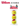Wilson威尔胜训练网球 低压缩网球 耐磨儿童网球Starter WRT137001