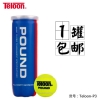天龙（Teloon） 比赛网球pound罐装耐打训练球 Teloon-P3 1罐
